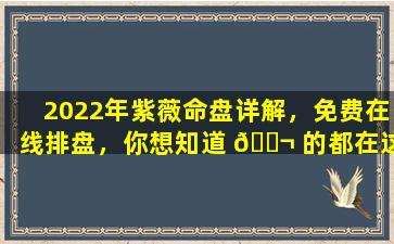 2022年紫薇命盘详解，免费在线排盘，你想知道 🐬 的都在这里！